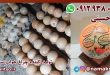 چراغ خواب سنگ نمک